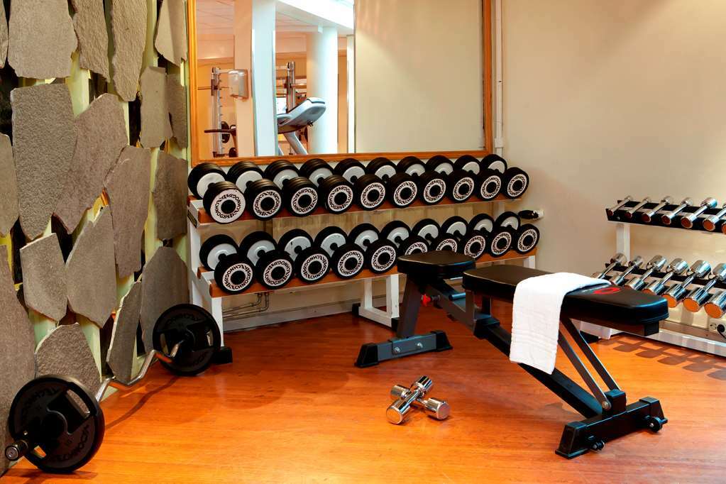 Radisson Blu Airport Hotel, Oslo 4* Garder
